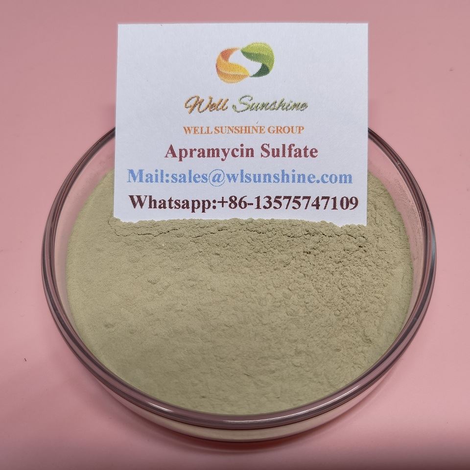 Apramycin Sulfate API (CAS 65710-07-8) Minn WELL SUNSHINE GROUP|Konsistenza tal-Assaġġi U Endotossina Baxxa